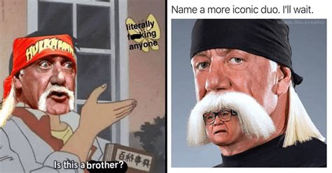 h2olga meme|Hulk Hogan .
